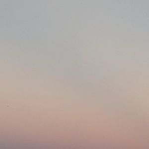 Meet your Posher, Tessa